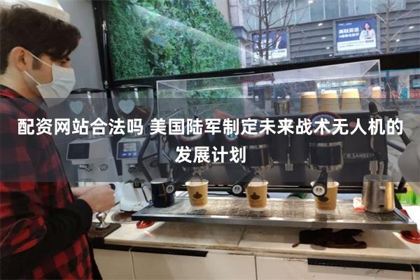 配资网站合法吗 美国陆军制定未来战术无人机的发展计划