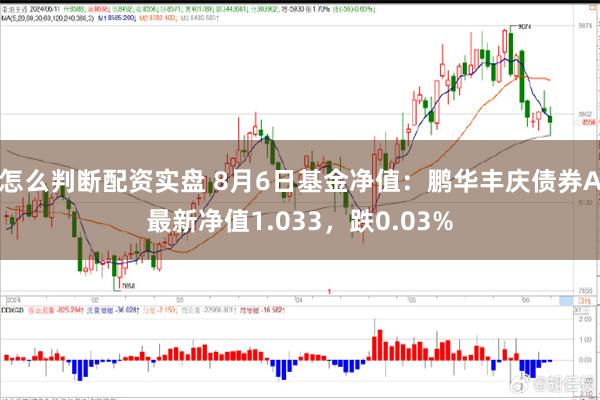 怎么判断配资实盘 8月6日基金净值：鹏华丰庆债券A最新净值1.033，跌0.03%