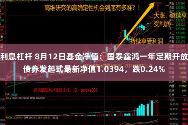 利息杠杆 8月12日基金净值：国泰鑫鸿一年定期开放债券发起式最新净值1.0394，跌0.24%