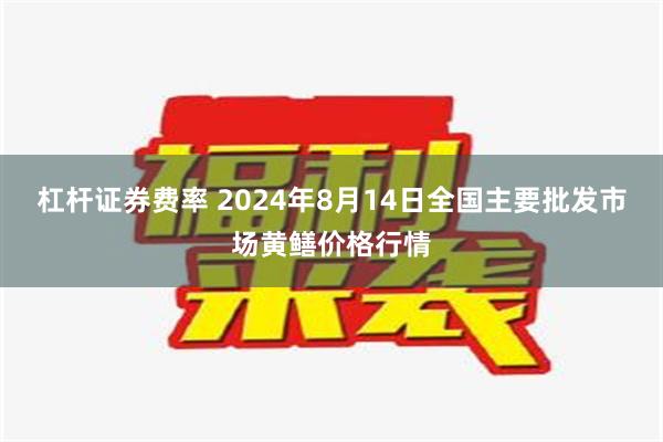 杠杆证券费率 2024年8月14日全国主要批发市场黄鳝价格行情