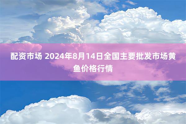 配资市场 2024年8月14日全国主要批发市场黄鱼价格行情