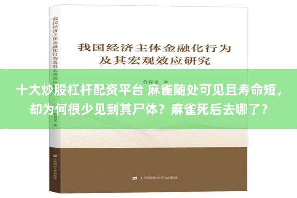 十大炒股杠杆配资平台 麻雀随处可见且寿命短，却为何很少见到其尸体？麻雀死后去哪了？