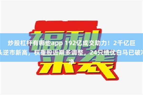 炒股杠杆有哪些app 192亿成交助力！2千亿巨头逆市新高，权重股近期多调整，24只绩优白马已破净