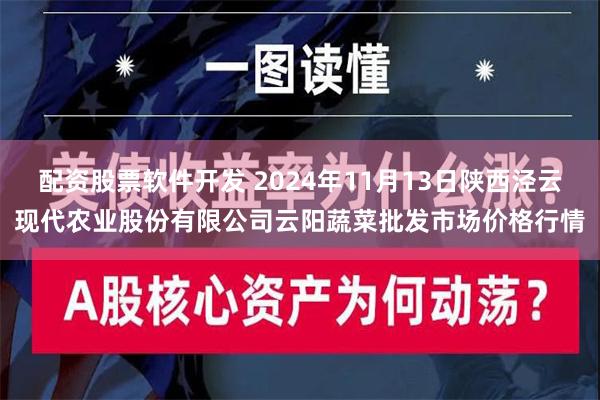 配资股票软件开发 2024年11月13日陕西泾云现代农业股份有限公司云阳蔬菜批发市场价格行情