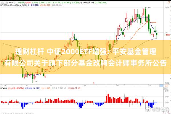 理财杠杆 中证2000ETF增强: 平安基金管理有限公司关于旗下部分基金改聘会计师事务所公告