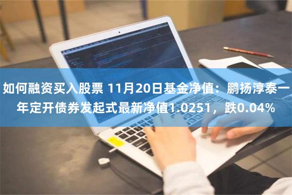 如何融资买入股票 11月20日基金净值：鹏扬淳泰一年定开债券发起式最新净值1.0251，跌0.04%