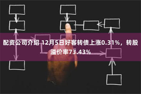 配资公司介绍 12月5日好客转债上涨0.31%，转股溢价率73.43%