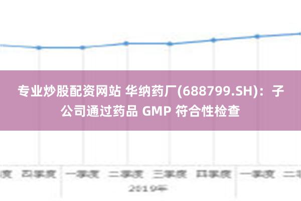 专业炒股配资网站 华纳药厂(688799.SH)：子公司通过药品 GMP 符合性检查